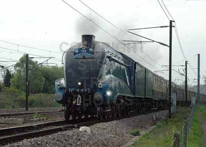Purchase photo of 4492 DOMINION OF NEW ZEALAND (BITTERN) at Brookmans Park